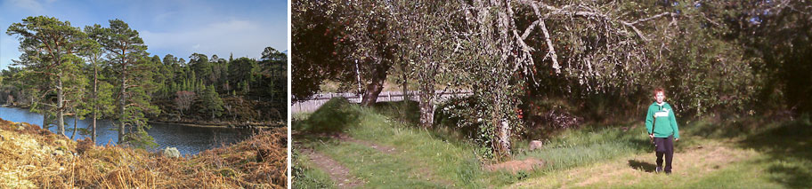 Campsites near Loch Ness at Bearnock